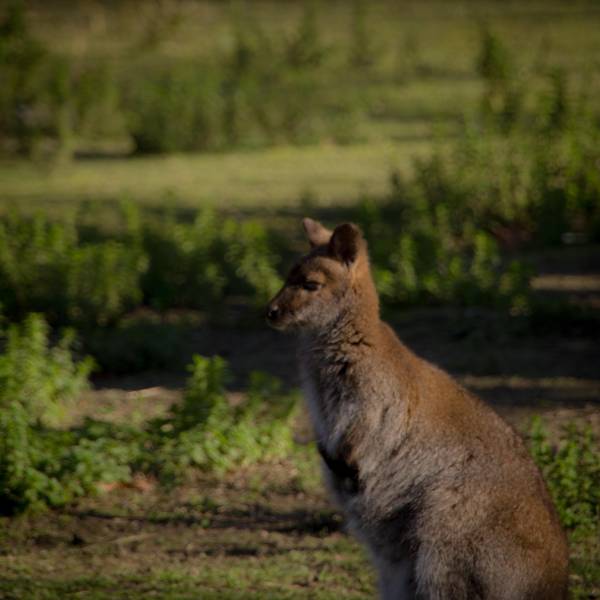 Photographie