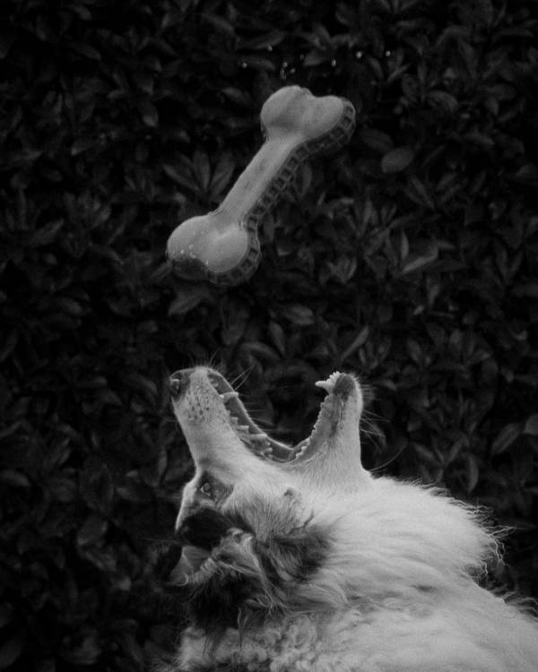 Photographie