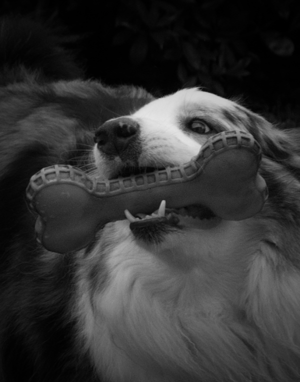 Photographie