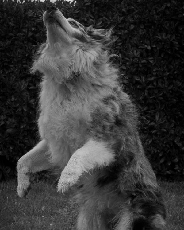 Photographie